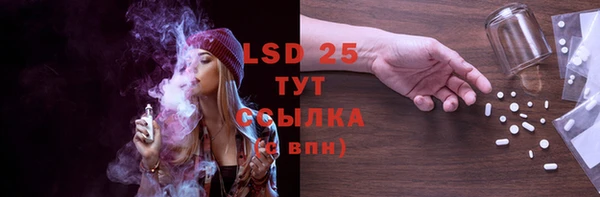 шишки Баксан