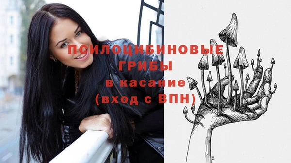 шишки Баксан