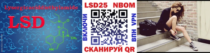 хочу наркоту  Новозыбков  LSD-25 экстази ecstasy 